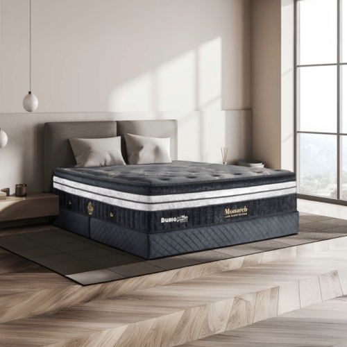 coolsilk-black-monarch--2--min_220925142906-570x5701x